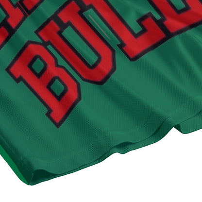 St. Patricks Bulls Mesh Shorts