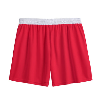 Bulls Mesh Shorts