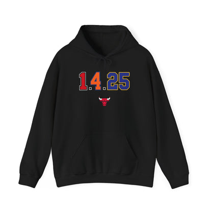 Derrick Rose Retirement Hoodie