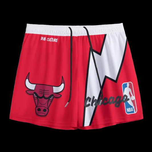 Chicago Bulls Mesh Shorts